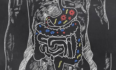 Why Is Gut Health Important For Immunity?