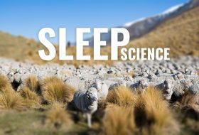 Expert Insight: The Science Of Sleep For Athletes with Dr Richard Swinbourne