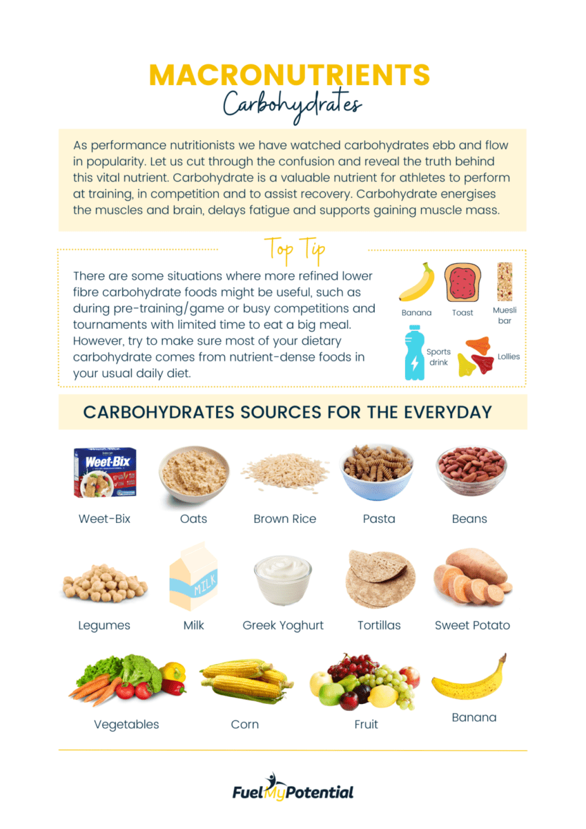 Carbohydrate Basics Infographic - Fuel My Potential